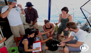 Κοινή Ωκεανογραφική Άσκηση για την Προστασία των Ελληνικών Θαλασσών