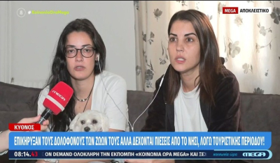 Κύθνος: Αναζητούν ποιος δολοφόνησε με φόλες τα σκυλάκια τους αλλά και πολλές γάτες (βίντεο)