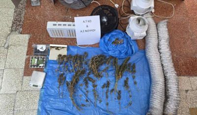 Συνελήφθη ημεδαπός για καλλιέργεια εσωτερικού τύπου κάνναβης στη Νίσυρο