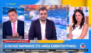Παύλος Μαρινάκης για ΟΠΕΚΕΠΕ: Οι παράνομες επιδοτήσεις έχουν πληγώσει τη χώρα για δεκαετίες