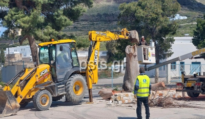 Πάρος - Παροικία: Πτώσεις μεγάλων δέντρων ευτυχώς χωρίς δυσάρεστες συνέπειες