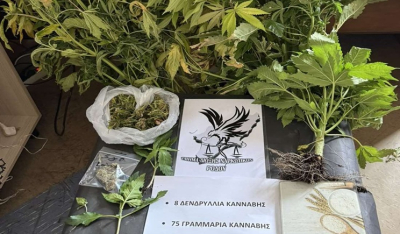 Συνελήφθη ημεδαπός για καλλιέργεια κάνναβης στη Ρόδο