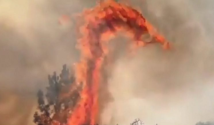 «Δράκοι της φωτιάς»: Τι είναι το φαινόμενο που παρατηρείται σε πυρκαγιές και φοβούνται στη Γαλλία