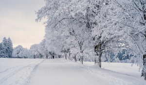 «Αβέβαιο αν θα χιονίσει στην Αττική τη Δευτέρα», λέει ο Καλλιάνος – «Η Μετεωρολογία δεν είναι σκηνή για να διψάμε για χειροκρότημα» (Βίντεο)