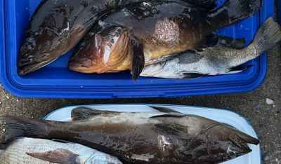 Αλιευτικός έλεγχος στη Νάξο