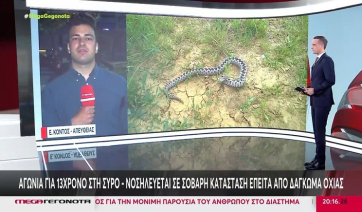 Σύρος: 13χρονος νοσηλεύεται σε σοβαρή κατάσταση μετά από δάγκωμα οχιάς (Βίντεο)