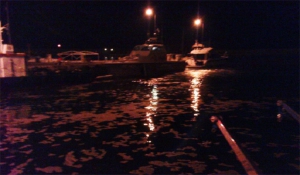 Νεκρός εντοπίστηκε ο επιβάτης που έπεσε στη θάλασσα από το Blue Star Naxos…
