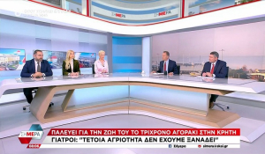 Η Κατερίνα Μονογυιού στην εκπομπή «ΣΗΜΕΡΑ» του ΣΚΑΪ για το αποτρόπαιο περιστατικό με θύμα το 3χρονο παιδί στην Κρήτη (Βίντεο)