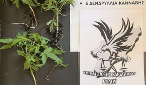 Συλλήψεις σε Ρόδο και Σύμη