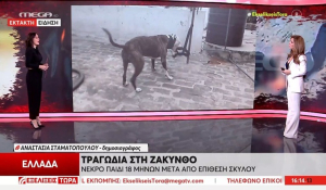 Ζάκυνθος: Νεκρό παιδί 18 μηνών από επίθεση σκύλου (βίντεο)
