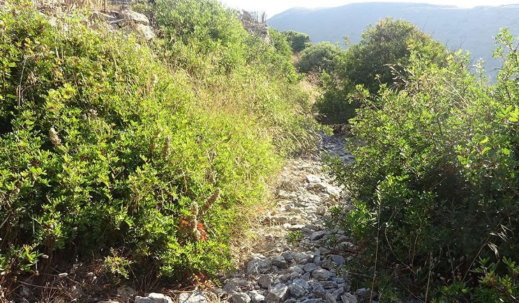 Αμοργός - Ανακοινώσεις: Για Καθαρισμό Οικοπέδων - Πρόσληψη με σύμβαση εργασίας - Δίκτυο Ύδρευσης Καταπόλων