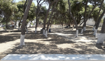 Πάρος: Ομόρφυνε ο ωραιότερος πνεύμονας πρασίνου της Παροικίας!