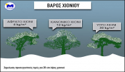 Meteo για κακοκαιρία «Μήδεια»: Το χιόνι ήταν πιο υγρό και πιο βαρύ, γι&#039; αυτό έπεσαν τόσα πολλά δέντρα