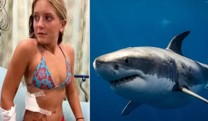 Σοκ στη Φλόριντα: 13χρονη δέχτηκε επίθεση από καρχαρία -Μονομάχησε μαζί του και επέζησε [βίντεο]
