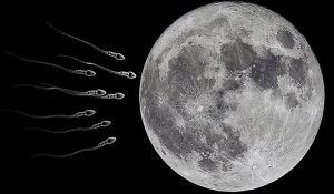 NASA - Σελήνη: «Κιβωτός του Νώε» με σπέρμα και αυγά από 6,7 εκατ. γήινα είδη