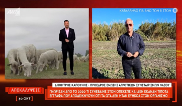Δηλώσεις Δ. Καπούνη στον ΑΝΤ1 για το «σκάνδαλο του ΟΠΕΚΕΠΕ» και τις αιτήσεις «μαϊμού» στη Νάξο (βίντεο)