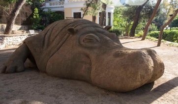 «Terrapolis», όταν η φύση ηχεί μέσα στην πόλη