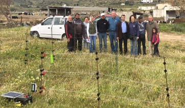 Επίσκεψη και Δωρεάν Φροντίδα ιπποειδών στην Πάρο από την Animal Action Hellas