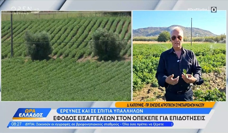 Έφοδος εισαγγελέων στον ΟΠΕΚΕΠΕ για επιδοτήσεις - Έρευνες και σε σπίτια υπαλλήλων (βίντεο)