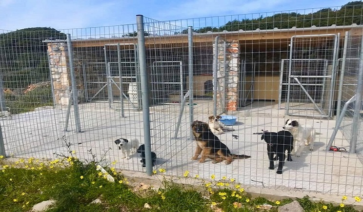 Γνωμοδότηση νομικού συμβούλου συλλόγου προστασίας ζώων Πάρου - Paws