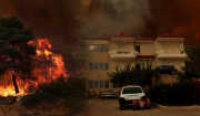 Φωτιά στη Φυλή -Νέο μήνυμα του 112: Εκκενώνονται Άνω Λιόσια, Γεννηματά και Κανάλα