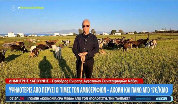 Νάξος: Σε τι τιμή διαθέτουν αρνιά και κατσίκια οι κτηνοτρόφοι (βίντεο)
