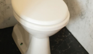 Προσεχώς καπάκι τουαλέτας που θα «ελέγχει» την κατάσταση υγείας
