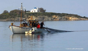 Ανοιχτή επιστολή προς τον Πρωθυπουργό αποστέλλει Σωματείο Αλιέων σχετικά με την βιντζότρατα