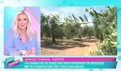 Φιλιατρά: Έκλεψαν ελαιόπανα που είχαν gps - Συνελήφθησαν οι δράστες (Βίντεο)