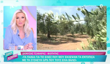 Φιλιατρά: Έκλεψαν ελαιόπανα που είχαν gps - Συνελήφθησαν οι δράστες (Βίντεο)