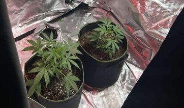 Ρόδος: Επιχείρηση εξάρθρωσης εγκληματικής οργάνωσης για ναρκωτικά – Προσαγωγές και συλλήψεις (Βίντεο)