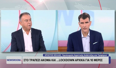 Χρ. Κέλλας στο ΕΡΤnews: Αν δεν πετύχουν τα μέτρα για τον περιορισμό της ευλογιάς θα πάμε σε lockdown (βίντεο)