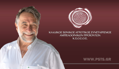 Στο νέο Εποπτικό Συμβούλιο της ΚΕΟΣΟΕ ο Νίκος Τσιγώνιας