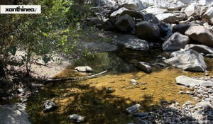 Ξάνθη: Σφηνωμένα κάτω από βράχο βρέθηκαν νεκρά τα δύο 16χρονα παιδιά (βίντεο)