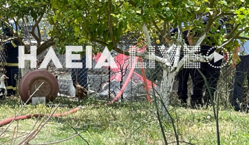 Μονοκινητήριο αεροσκάφος έπεσε στην Ηλεία