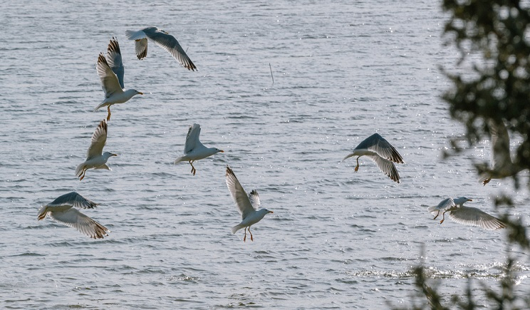 Γιάννης Καλλιάνος: «Θα ξυπνήσουμε με χειμώνα την Πρωτομαγιά» – Τοπικές χιονοπτώσεις στα ηπειρωτικά